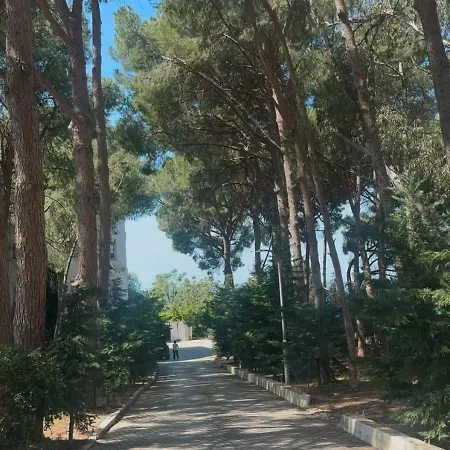 Zorah Ionian Sea Luxury Apartmán *